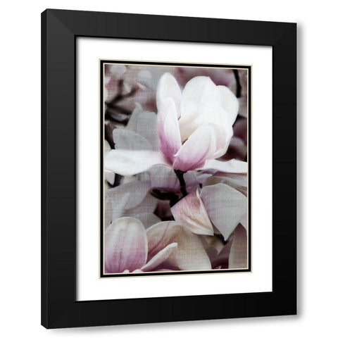 Petal Heaven I Black Modern Wood Framed Art Print with Double Matting by Robertson, Leda