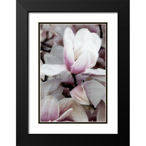 Petal Heaven I Black Modern Wood Framed Art Print with Double Matting by Robertson, Leda