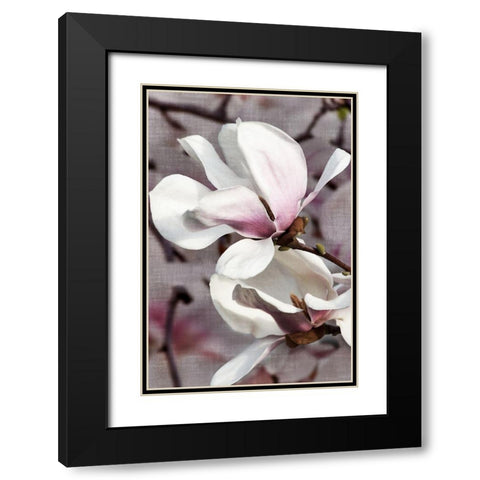 Petal Heaven II Black Modern Wood Framed Art Print with Double Matting by Robertson, Leda