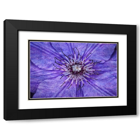 Inner Workings I Black Modern Wood Framed Art Print with Double Matting by Robertson, Leda