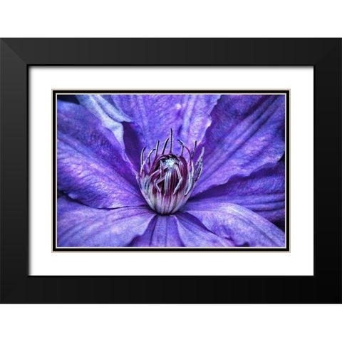 Intimate Unfolding Black Modern Wood Framed Art Print with Double Matting by Robertson, Leda