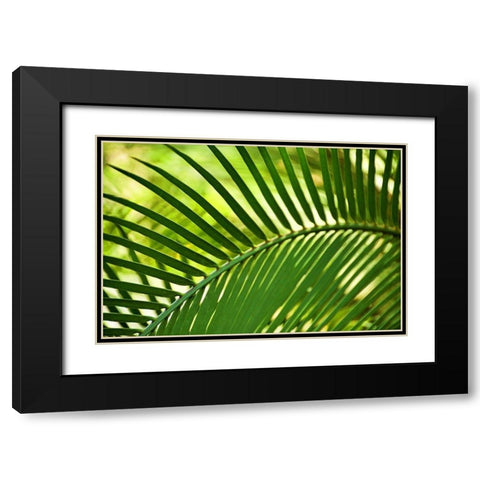 Leaf Abstraction IV Black Modern Wood Framed Art Print with Double Matting by Robertson, Leda