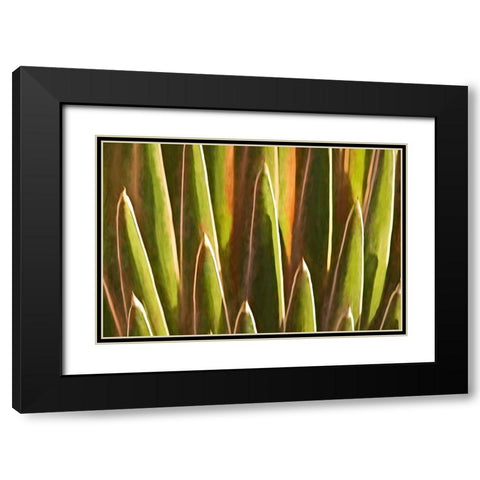 Desert Growth Black Modern Wood Framed Art Print with Double Matting by Robertson, Leda