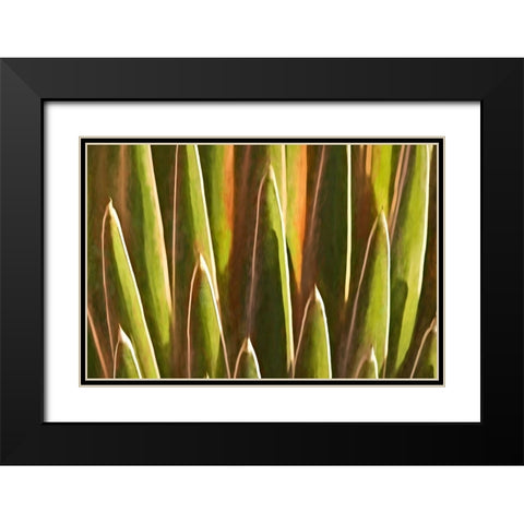 Desert Growth Black Modern Wood Framed Art Print with Double Matting by Robertson, Leda