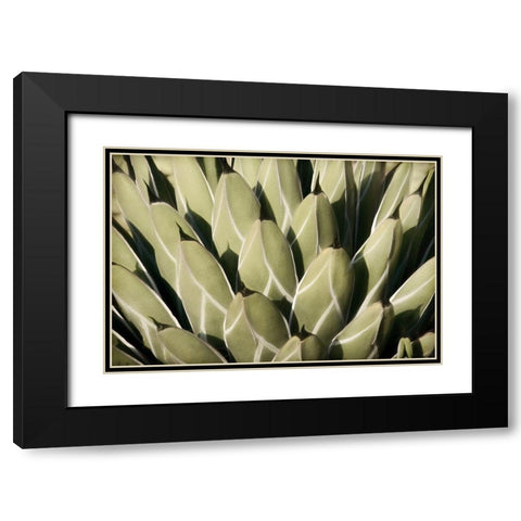 Geometric Growth Black Modern Wood Framed Art Print with Double Matting by Robertson, Leda
