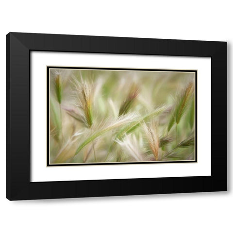 Spring Delight Black Modern Wood Framed Art Print with Double Matting by Robertson, Leda