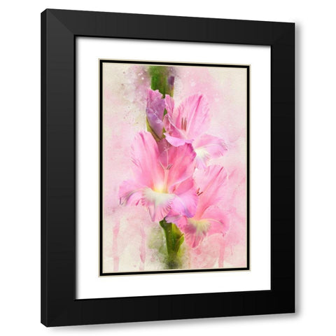 Flowering Trifecta Black Modern Wood Framed Art Print with Double Matting by Robertson, Leda
