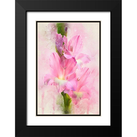 Flowering Trifecta Black Modern Wood Framed Art Print with Double Matting by Robertson, Leda