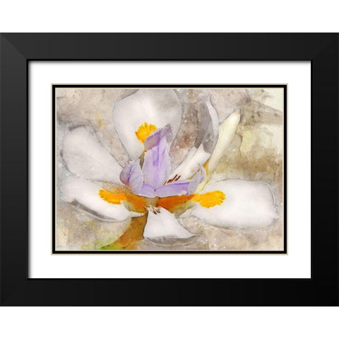 Blooming into Abstraction Black Modern Wood Framed Art Print with Double Matting by Robertson, Leda