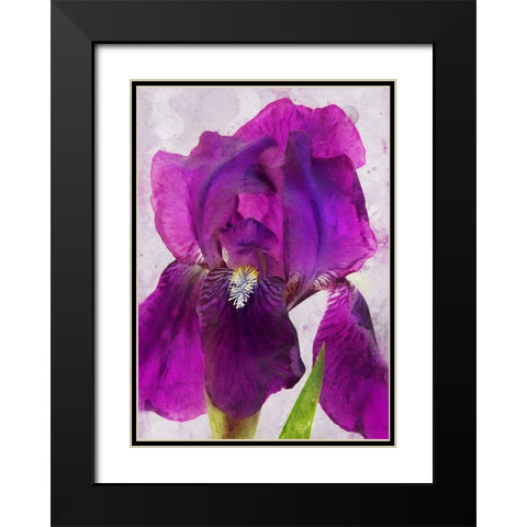 Natures Disarray Black Modern Wood Framed Art Print with Double Matting by Robertson, Leda