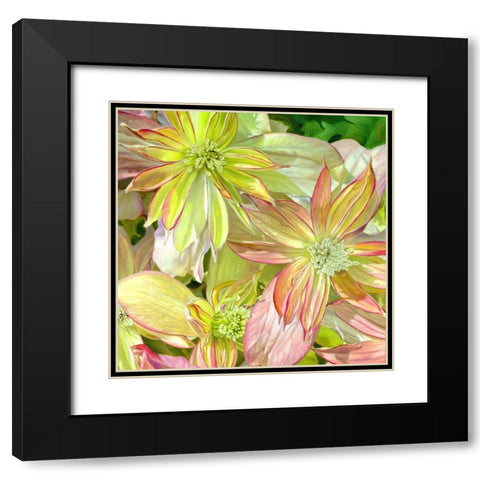 Come Fly With Me Black Modern Wood Framed Art Print with Double Matting by Montana, Enzo