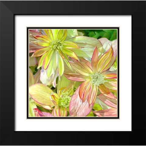 Come Fly With Me Black Modern Wood Framed Art Print with Double Matting by Montana, Enzo