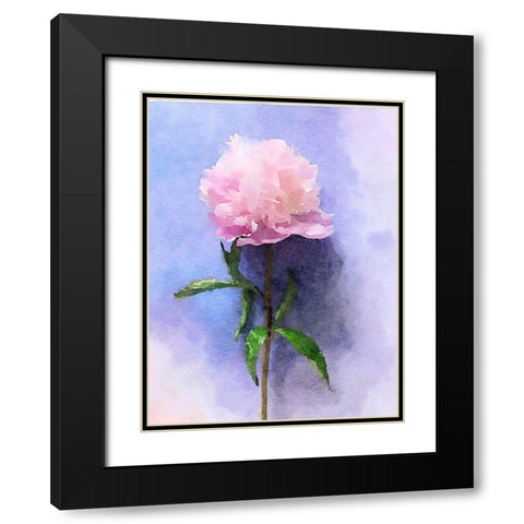 Pink Watercolor Peony II Black Modern Wood Framed Art Print with Double Matting by Orlov, Irena