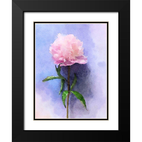 Pink Watercolor Peony II Black Modern Wood Framed Art Print with Double Matting by Orlov, Irena