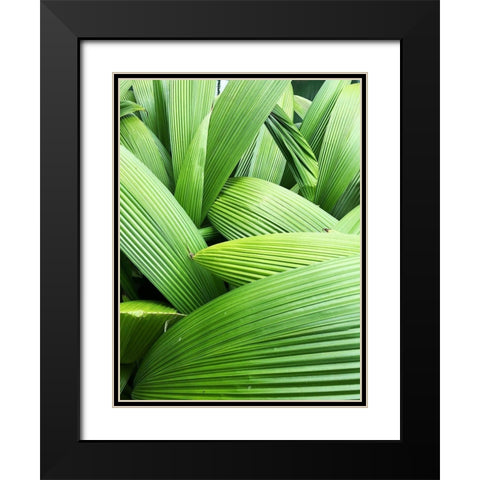 Monster Leaves I Black Modern Wood Framed Art Print with Double Matting by Orlov, Irena