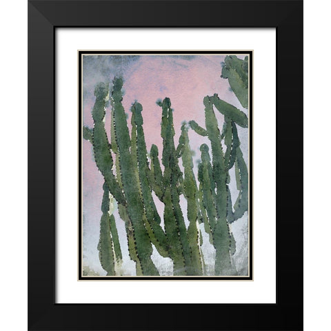 Desert Cactus I Black Modern Wood Framed Art Print with Double Matting by Orlov, Irena