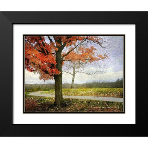 Overland Park Trees Black Modern Wood Framed Art Print with Double Matting by Vest, Christopher