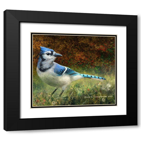 Bluejay Yard Black Modern Wood Framed Art Print with Double Matting by Vest, Christopher