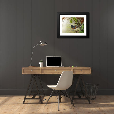 American Redstart Black Modern Wood Framed Art Print with Double Matting by Vest, Christopher