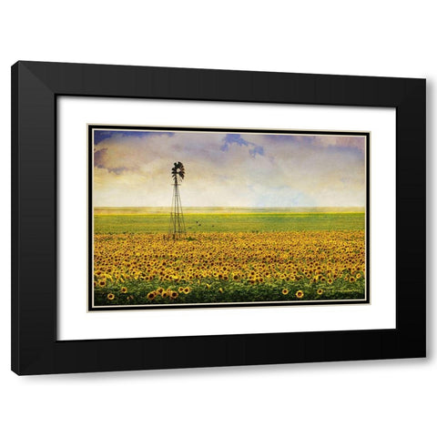 High Plains Sunflowers Black Modern Wood Framed Art Print with Double Matting by Vest, Christopher