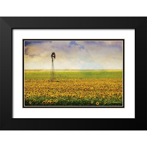 High Plains Sunflowers Black Modern Wood Framed Art Print with Double Matting by Vest, Christopher