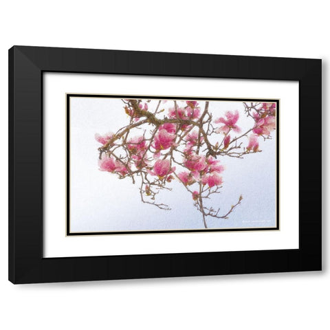 Painted Magnolia Black Modern Wood Framed Art Print with Double Matting by Vest, Christopher