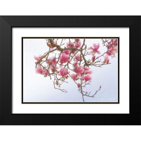 Painted Magnolia Black Modern Wood Framed Art Print with Double Matting by Vest, Christopher