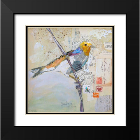 Finch on White Black Modern Wood Framed Art Print with Double Matting by St Hilaire, Elizabeth