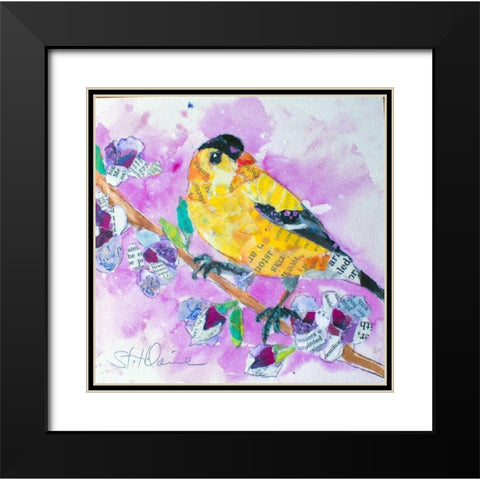 Pinch of Gold Finch Black Modern Wood Framed Art Print with Double Matting by St Hilaire, Elizabeth