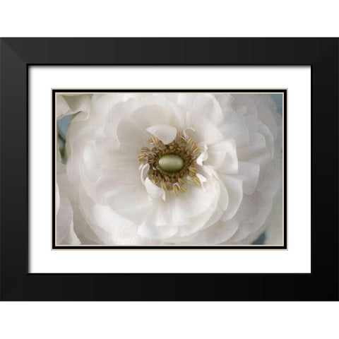 Golden Eye Black Modern Wood Framed Art Print with Double Matting by Stalus, Judy