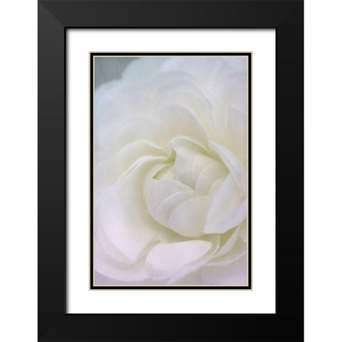 Whisper Black Modern Wood Framed Art Print with Double Matting by Stalus, Judy