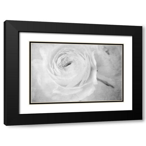 White Mystery Black Modern Wood Framed Art Print with Double Matting by Stalus, Judy