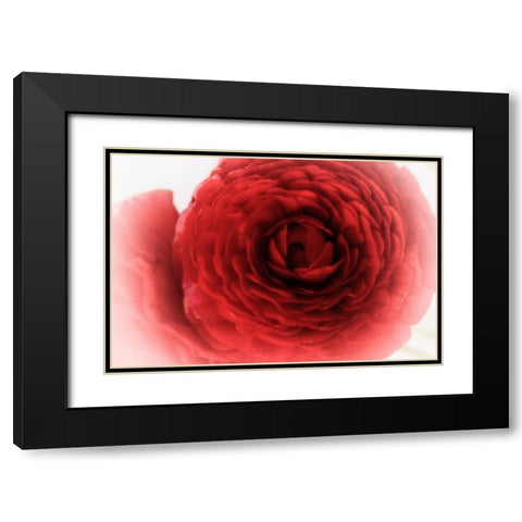 Velvet Black Modern Wood Framed Art Print with Double Matting by Stalus, Judy
