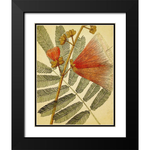 Botanical Grunge I Black Modern Wood Framed Art Print with Double Matting by Hunziker, Steve