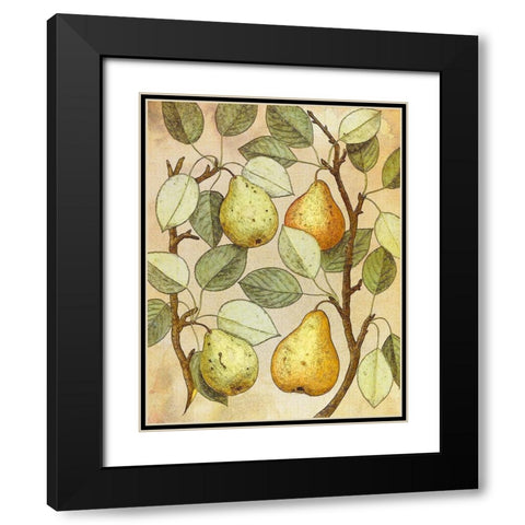 Botanical Grunge II Black Modern Wood Framed Art Print with Double Matting by Hunziker, Steve