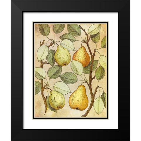 Botanical Grunge II Black Modern Wood Framed Art Print with Double Matting by Hunziker, Steve