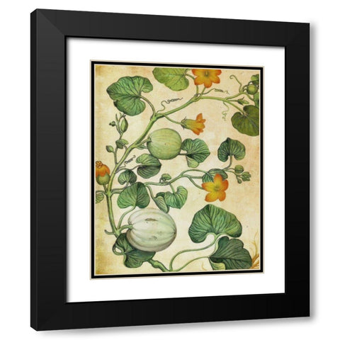 Botanical Grunge III  Black Modern Wood Framed Art Print with Double Matting by Hunziker, Steve