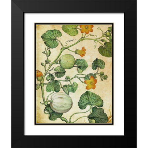 Botanical Grunge III  Black Modern Wood Framed Art Print with Double Matting by Hunziker, Steve