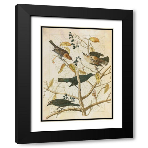 Classic Avion III Black Modern Wood Framed Art Print with Double Matting by Hunziker, Steve