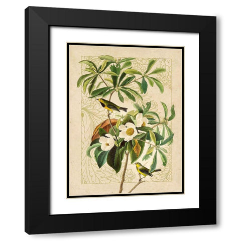 Classic Avion V Black Modern Wood Framed Art Print with Double Matting by Hunziker, Steve