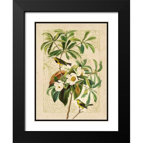 Classic Avion V Black Modern Wood Framed Art Print with Double Matting by Hunziker, Steve