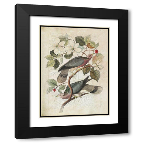 Classic Avion VI Black Modern Wood Framed Art Print with Double Matting by Hunziker, Steve