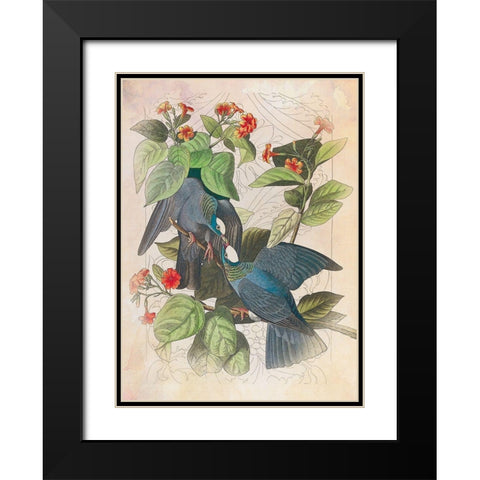 Classic Avion VII Black Modern Wood Framed Art Print with Double Matting by Hunziker, Steve