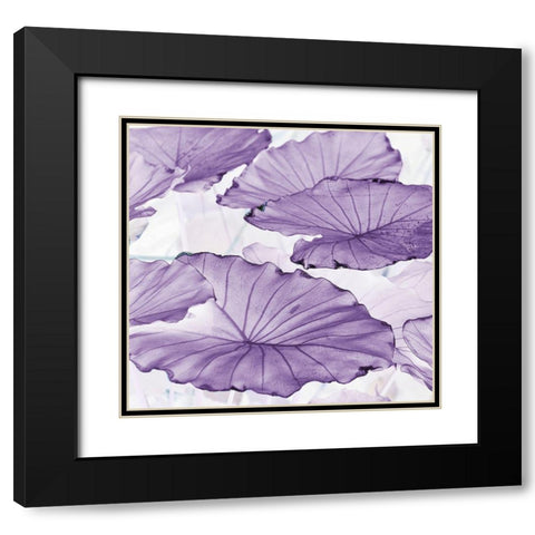 Botanicals Black Modern Wood Framed Art Print with Double Matting by Surma, Agata