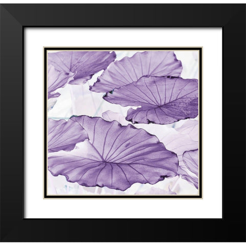 Botanicals Black Modern Wood Framed Art Print with Double Matting by Surma, Agata