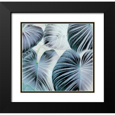 Botanic Blues Black Modern Wood Framed Art Print with Double Matting by Surma, Agata