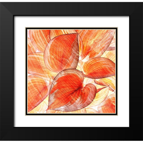Botanic Oranges Black Modern Wood Framed Art Print with Double Matting by Surma, Agata
