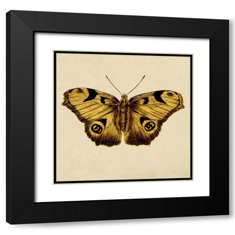 Golden Mariposa Black Modern Wood Framed Art Print with Double Matting by Surma, Agata