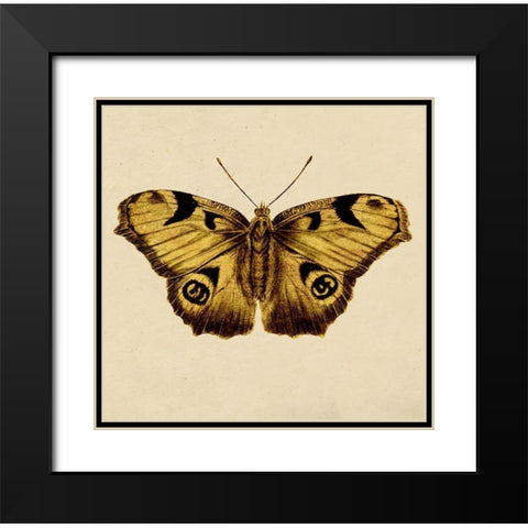 Golden Mariposa Black Modern Wood Framed Art Print with Double Matting by Surma, Agata