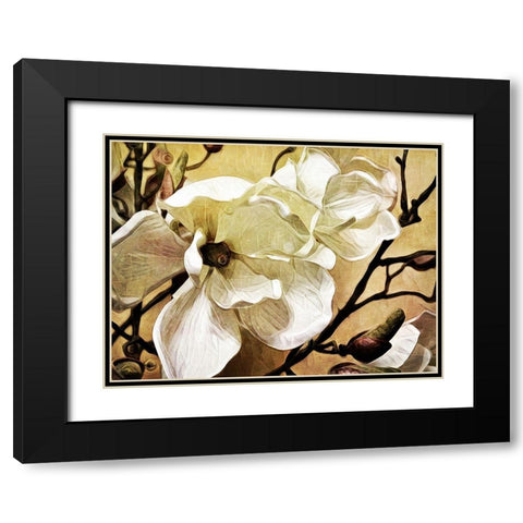 Majestic Magnolia Black Modern Wood Framed Art Print with Double Matting by Aldridge, Ashley